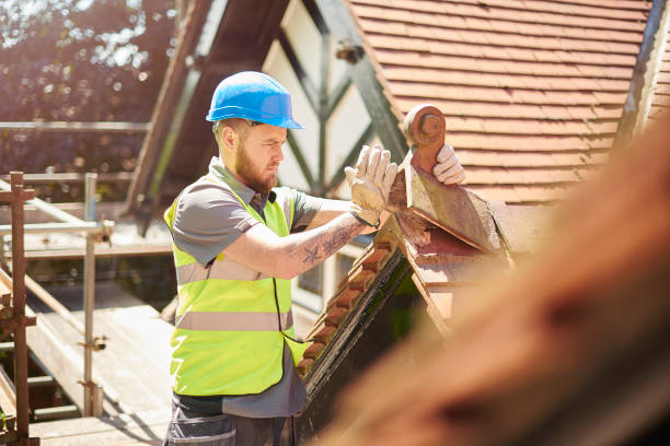 Best Metal Roofing Contractor  in Winter Gardens, CA
